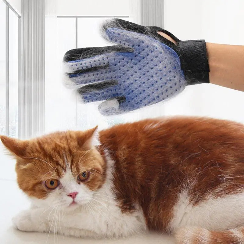 FurBeGone Glove
