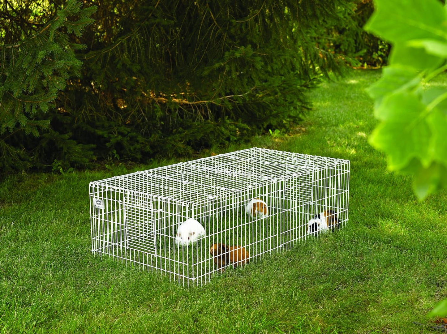 Mid West Homes for Pets Guinea Habitat plus Guinea Pig Cage by Midwest W/Top Panel, 47L X 24W X 14H Inches
