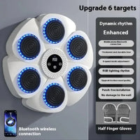 PunchPro - Smart Bluetooth Wireless Boxing Fitness Kit – Home Exercise Equipment