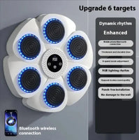 PunchPro - Smart Bluetooth Wireless Boxing Fitness Kit – Home Exercise Equipment