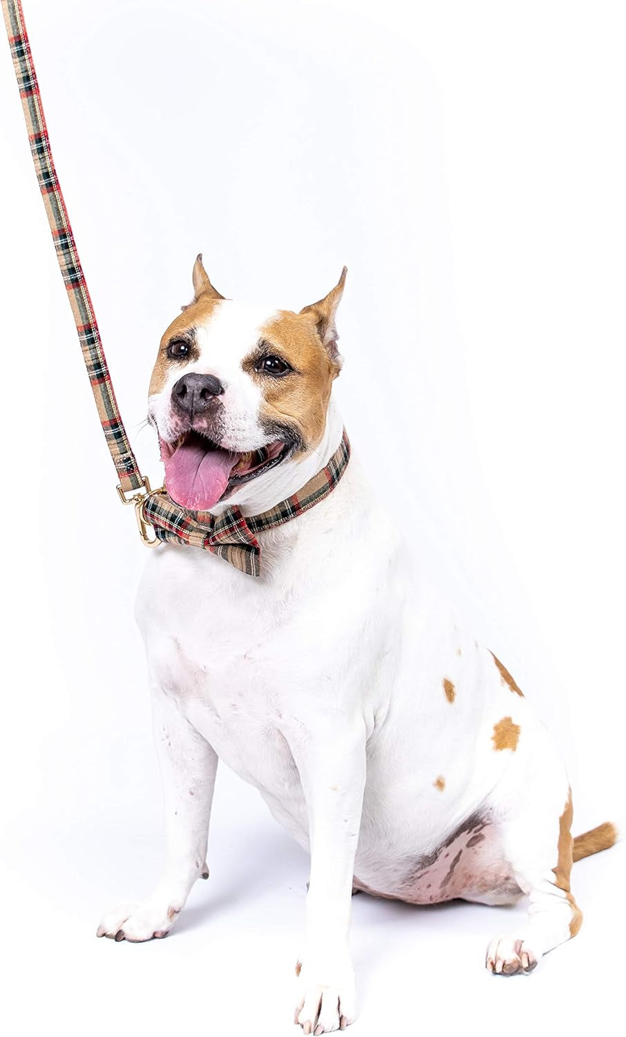 Scottish Tartan Bowtie Dog Collar & Leash Set with Detachable Bow Tie for Girl or Boy Dogs Comfortable Plaid Pattern, Fully Adjustable, Great Pet Gift (XS, Beige)