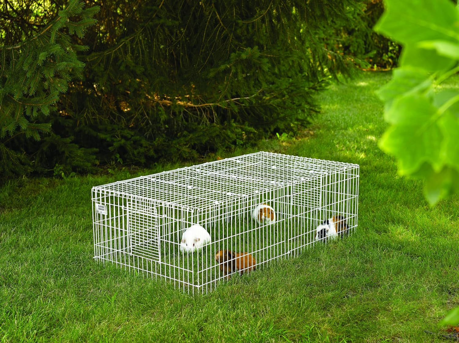 Mid West Homes for Pets Guinea Habitat plus Guinea Pig Cage by Midwest W/Top Panel, 47L X 24W X 14H Inches