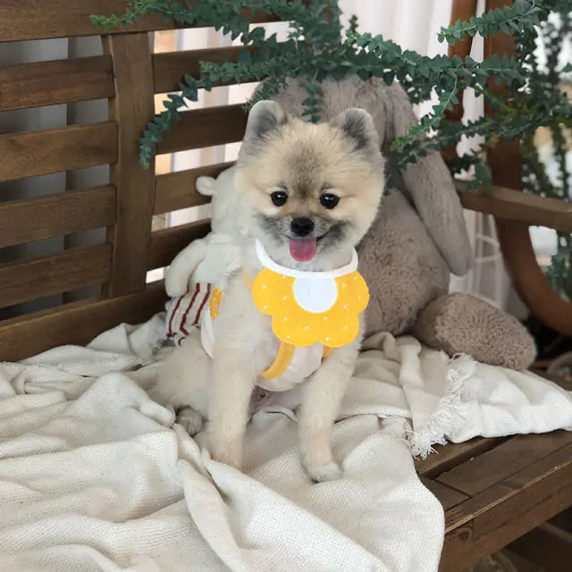 Whisker Wraps - Pets Cute Knit Bibs