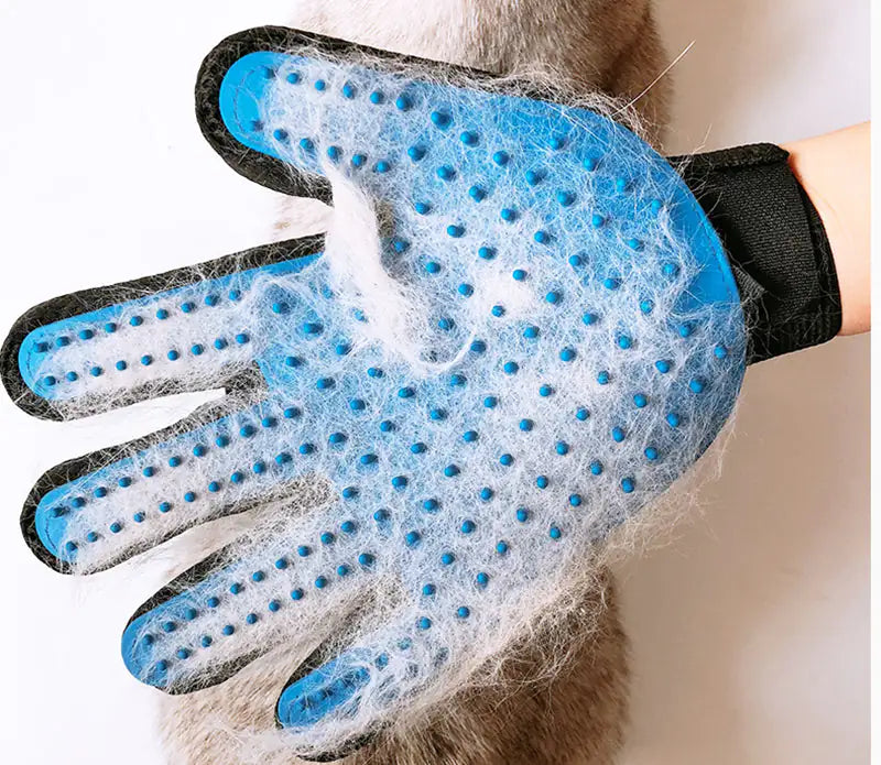 FurBeGone Glove