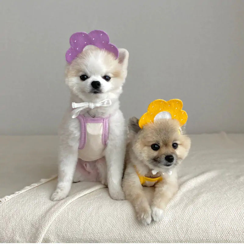 Whisker Wraps - Pets Cute Knit Bibs