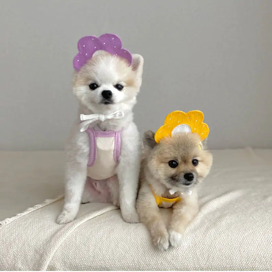 Whisker Wraps - Pets Cute Knit Bibs