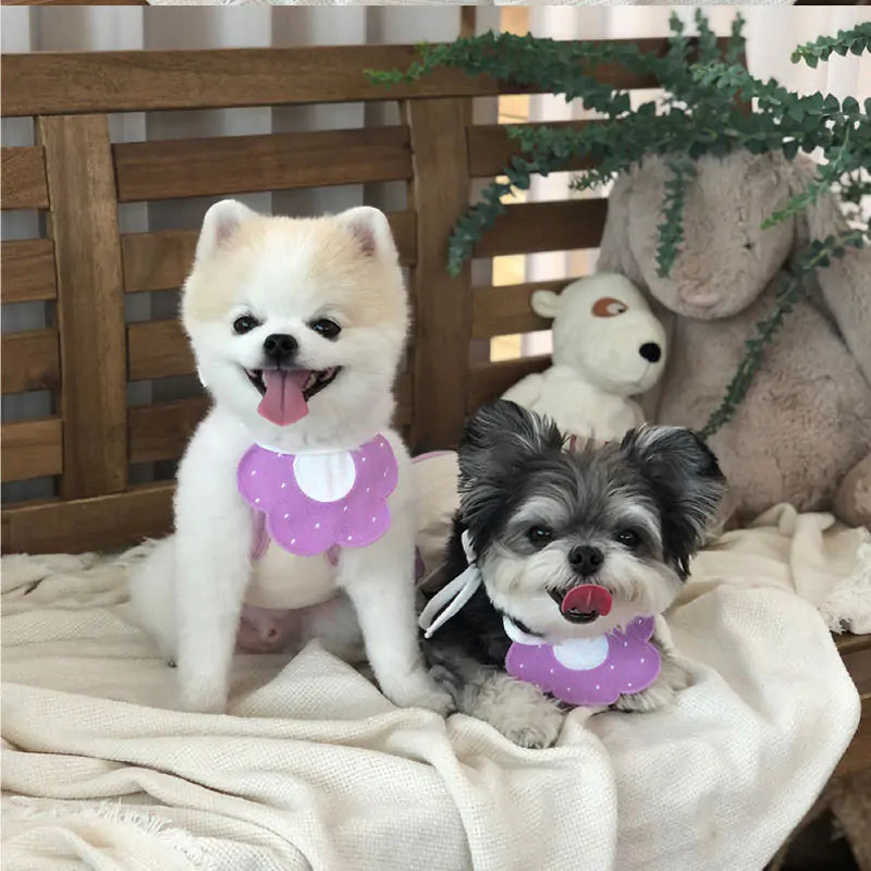 Whisker Wraps - Pets Cute Knit Bibs