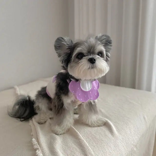 Whisker Wraps - Pets Cute Knit Bibs