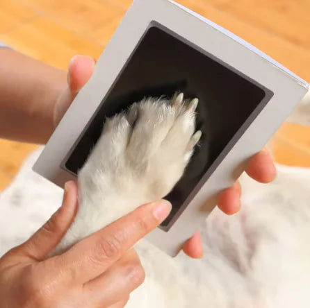 Furry Footprints - Paw Print Clean Touch Ink Pad
