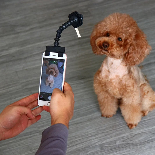 Paws & Claws Selfie Stick For Pets Dog Cat