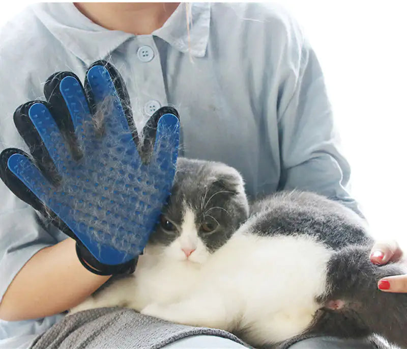FurBeGone Glove