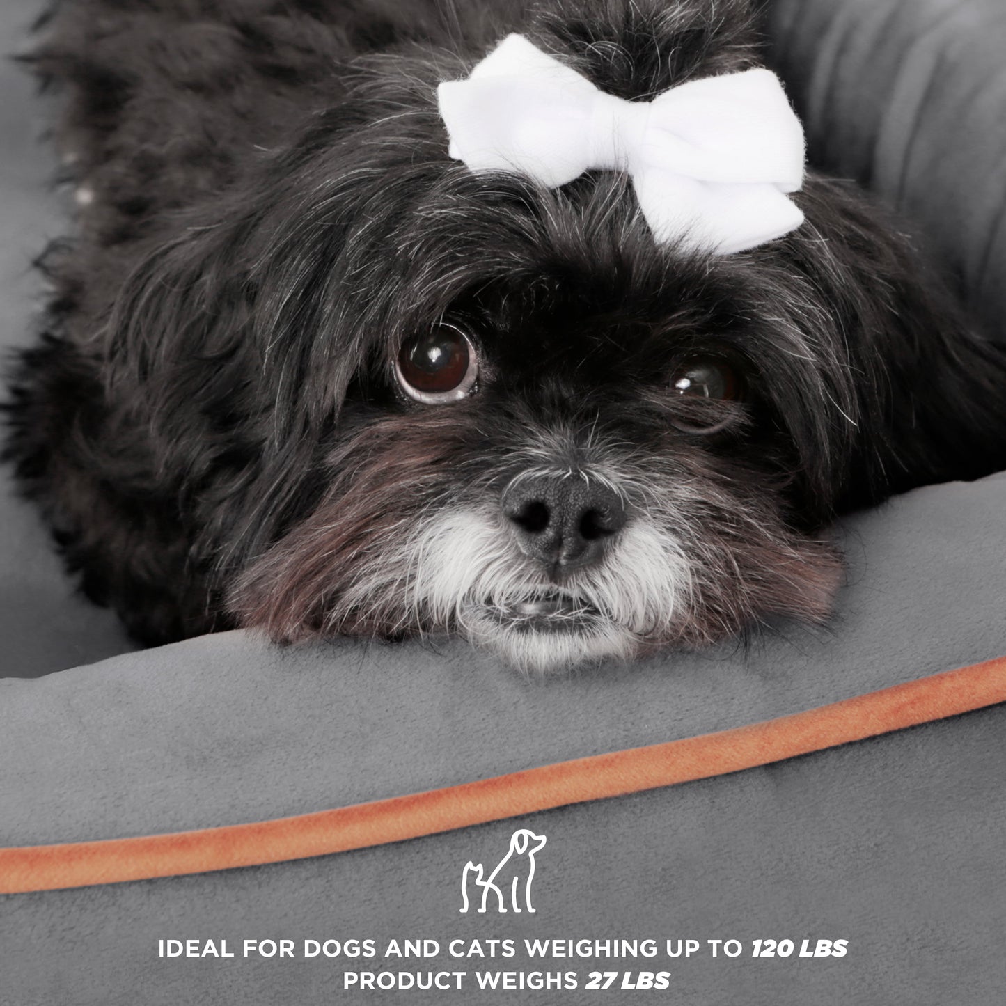 Elevate Your Pet's Comfort with the Wyatt Wooden Pet Bed - Stylish, Sturdy, and Eco-Friendly with Plush Mattress!