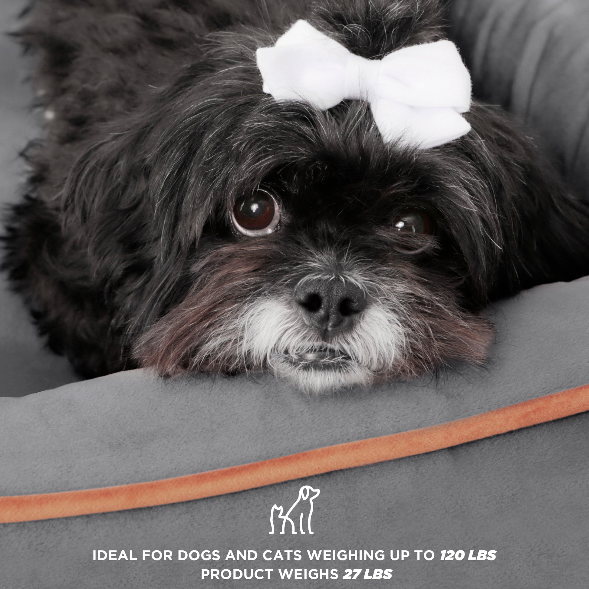 Elevate Your Pet's Comfort with the Wyatt Wooden Pet Bed - Stylish, Sturdy, and Eco-Friendly with Plush Mattress!