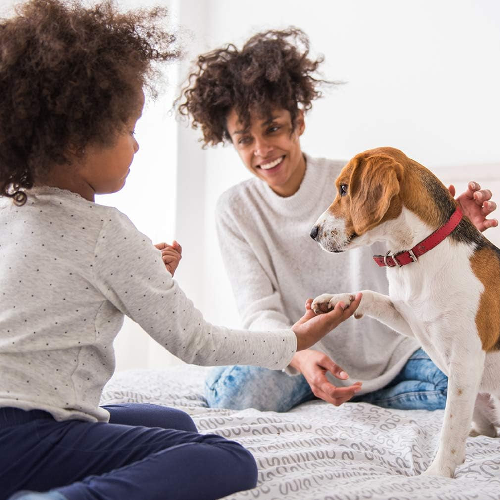 Pet Stroller Cat Dog Cage Stroller Travel Folding Carrier,Red