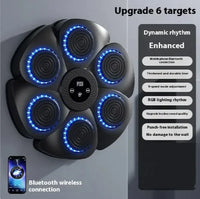 PunchPro - Smart Bluetooth Wireless Boxing Fitness Kit – Home Exercise Equipment